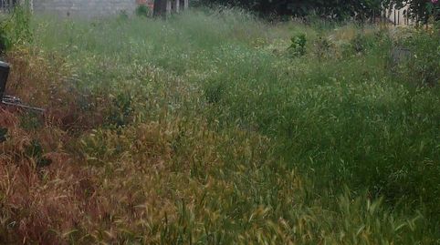 TERRENO URBANO EN CACABELOS, immagine 2