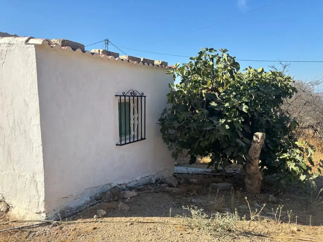 Casa rústica en venda a DS DISEMINADOS 447 EL TAJO EL MOCHUELO 29239 ALMOG, imagen 3