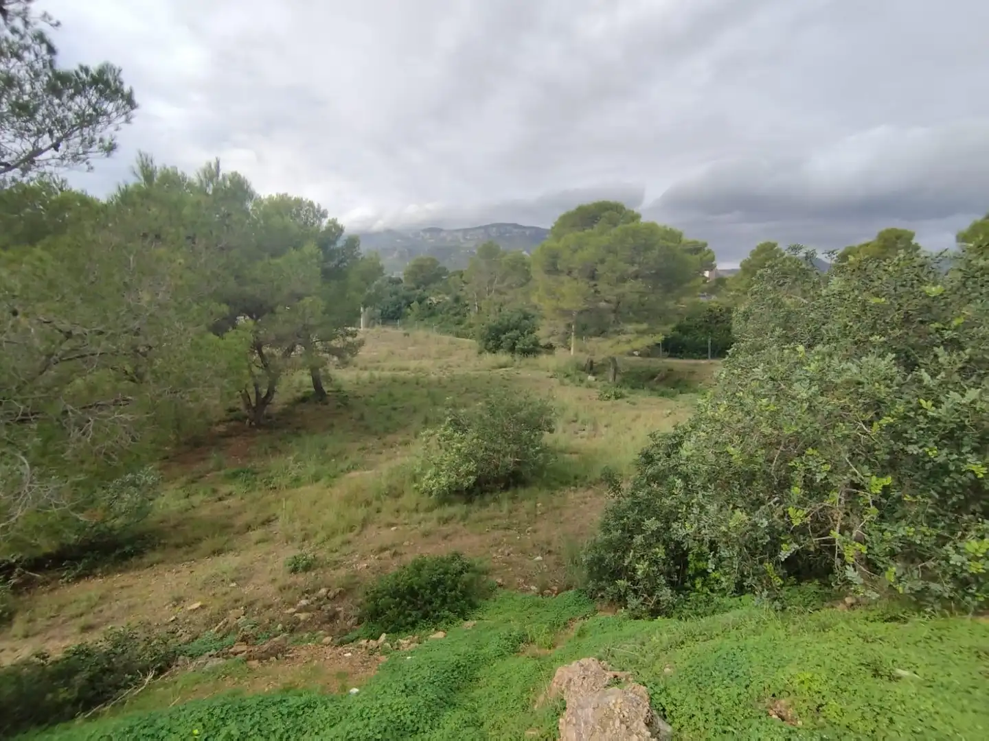 Residential for sale in Mont-roig del Camp