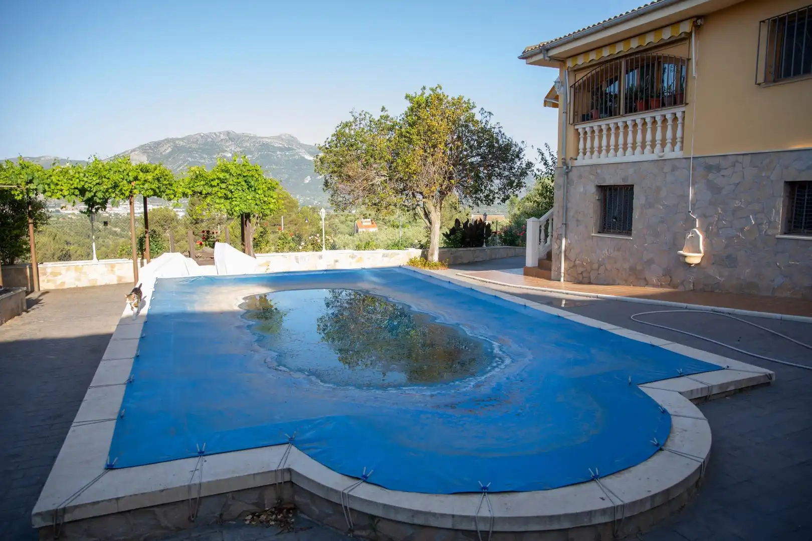 Piscina de Casa o xalet en venda en Almudaina amb Aire condicionat, Piscina i Moblat