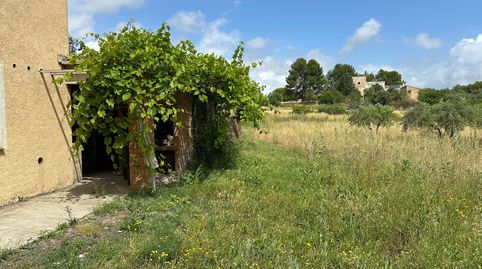 Photo 5 of Houses for sale in El Llombo, Ontinyent
