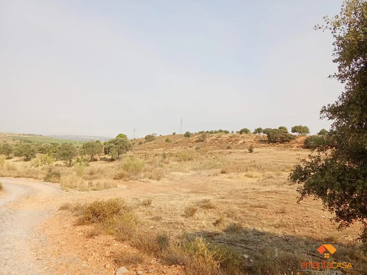Terreni e lotti in vendita a Oeste, imagen 2