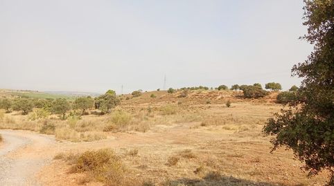 MéridaTerreno, immagine 2