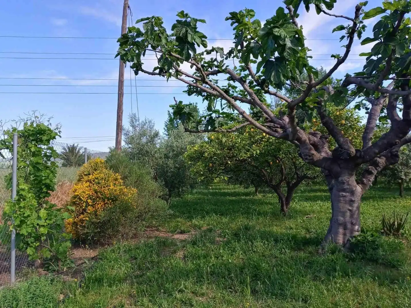 Grundstücke und Bauplätze zum Verkauf in Periurbano Oeste - Sierra, imagen 5