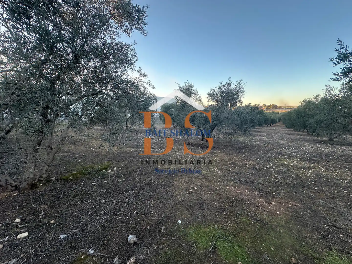 Rural land for sale in Mollina, imagen 8