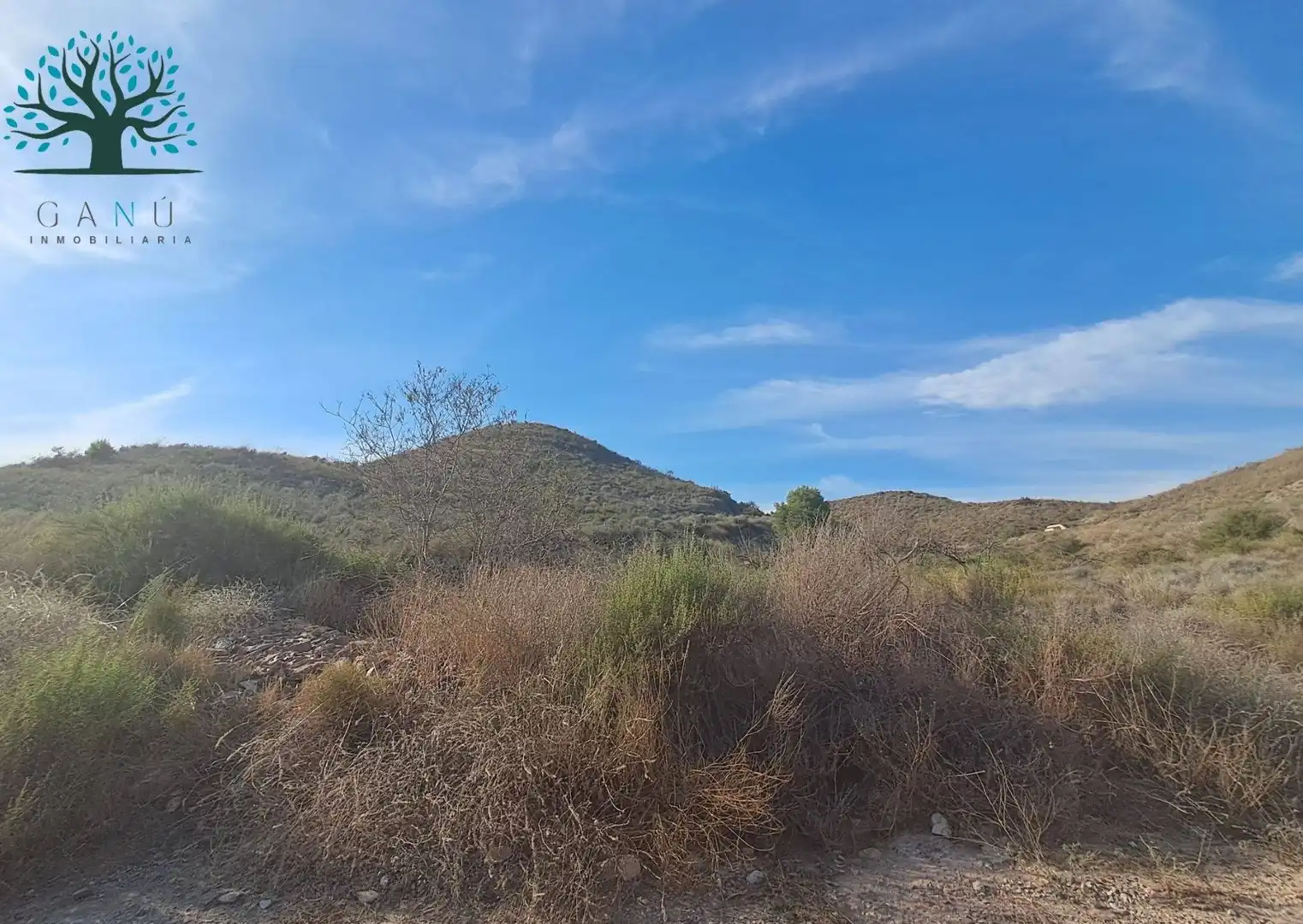 Terrenys i solars en venda a Camino LOS ATAJOS, imagen 6