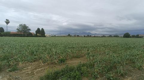 Foto 5 de Finca rústica en venda a Purchil, Granada