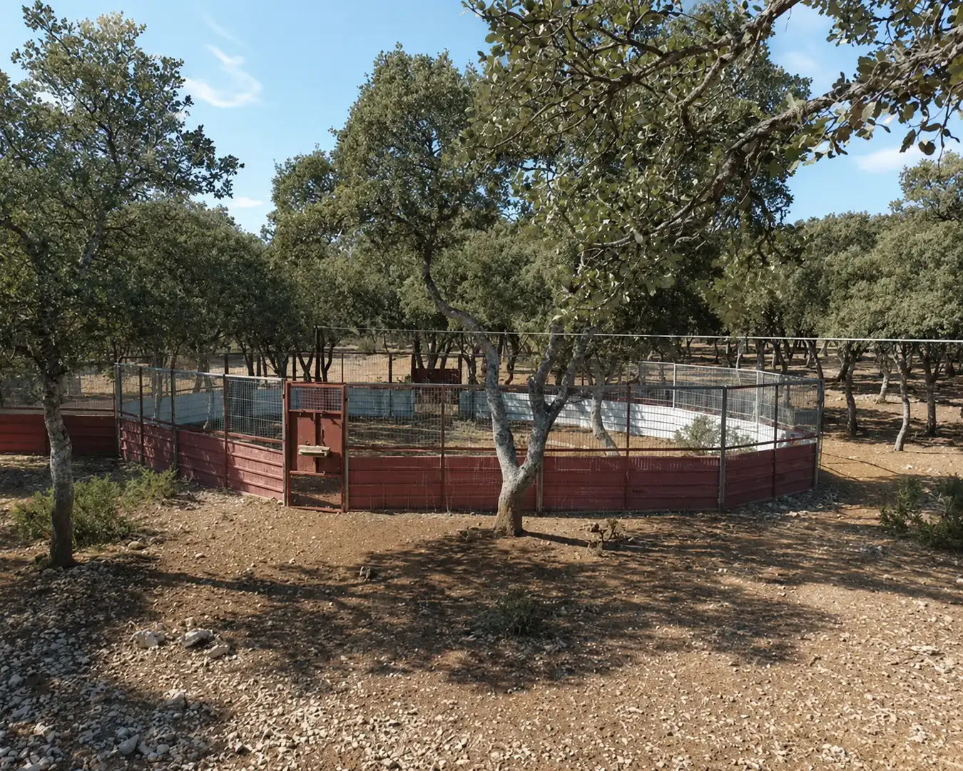 Jardí de Casa o xalet en venda en Ciruelos de Cervera