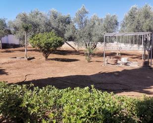 Finca rústica en venda en Guarromán amb Calefacció, Jardí privat i Terrassa