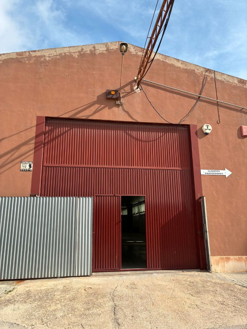 Exterior view of Industrial buildings to rent in Elche / Elx