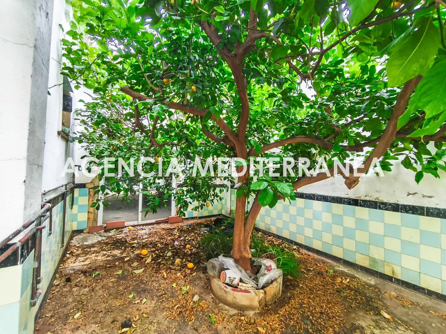 Jardín de Casa o chalet en venta en Alcàsser con Terraza y Trastero