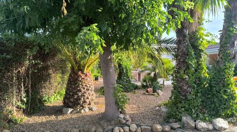 Foto 2 de Casa o chalet en venta en Polígono 10 Paraje 145 la Orden, Villanueva de la Serena, Badajoz