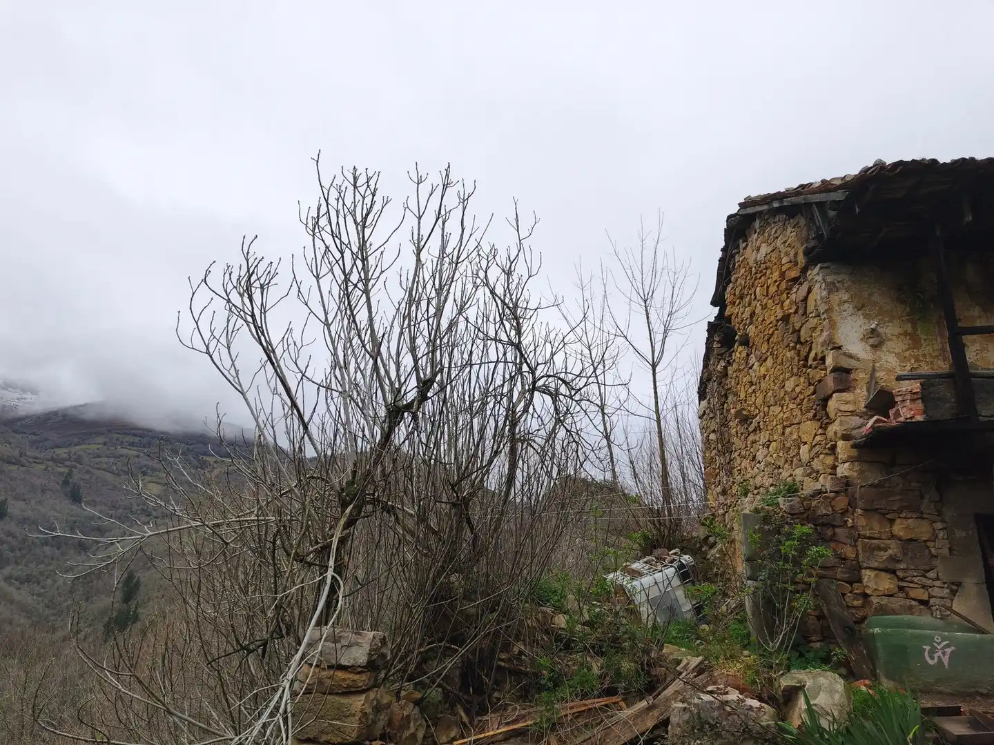 Casa o chalet en venta en Proaza con Piscina