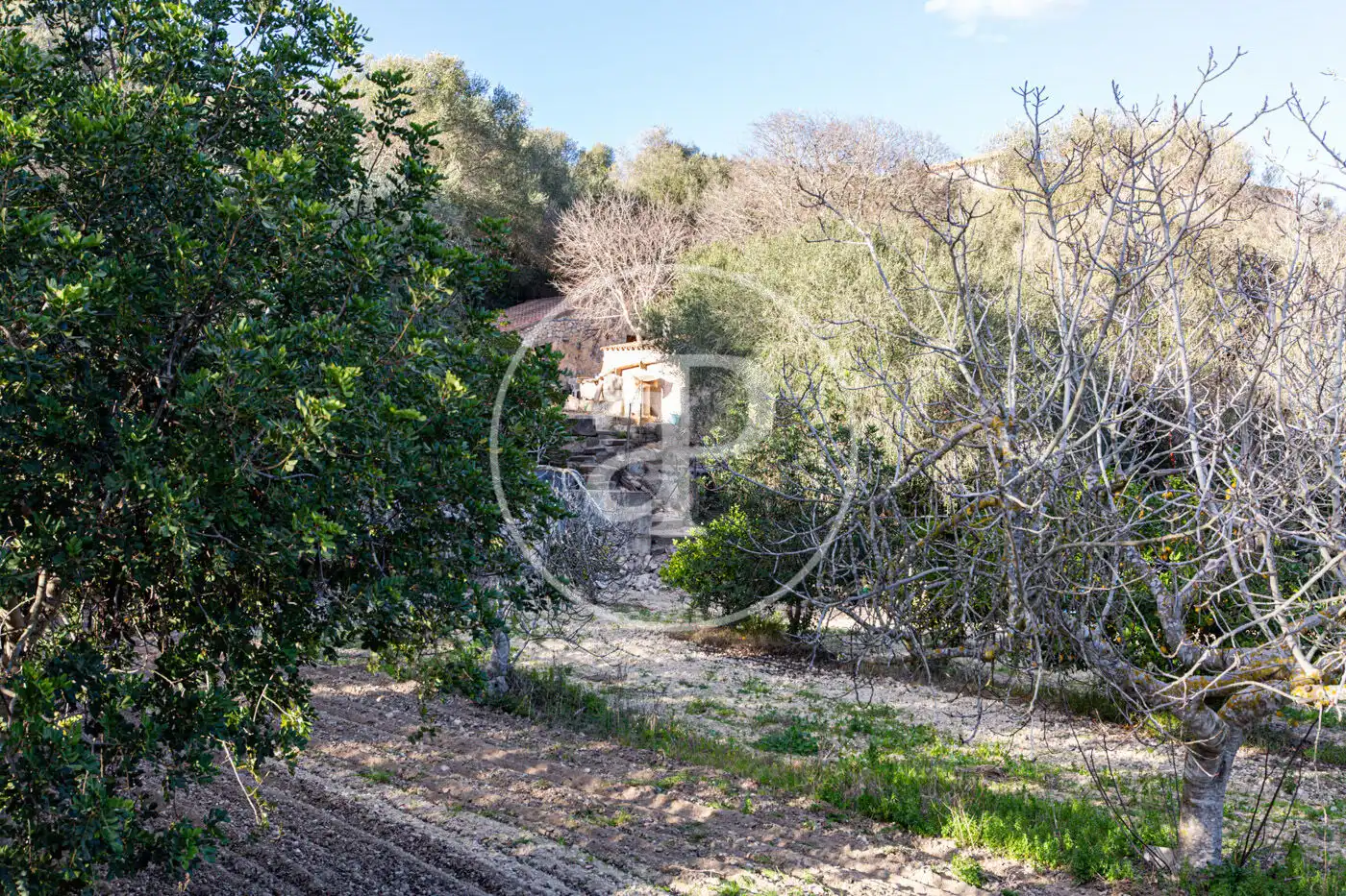 Residencial en venta en Santa Margalida