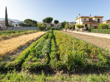 Terreno residencial en venta en Calle de Vicente Aleixandre