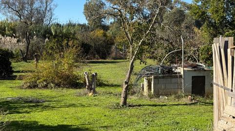 Photo 4 of Country house for sale in Camino de Valverde, 1, Gibraleón, Huelva