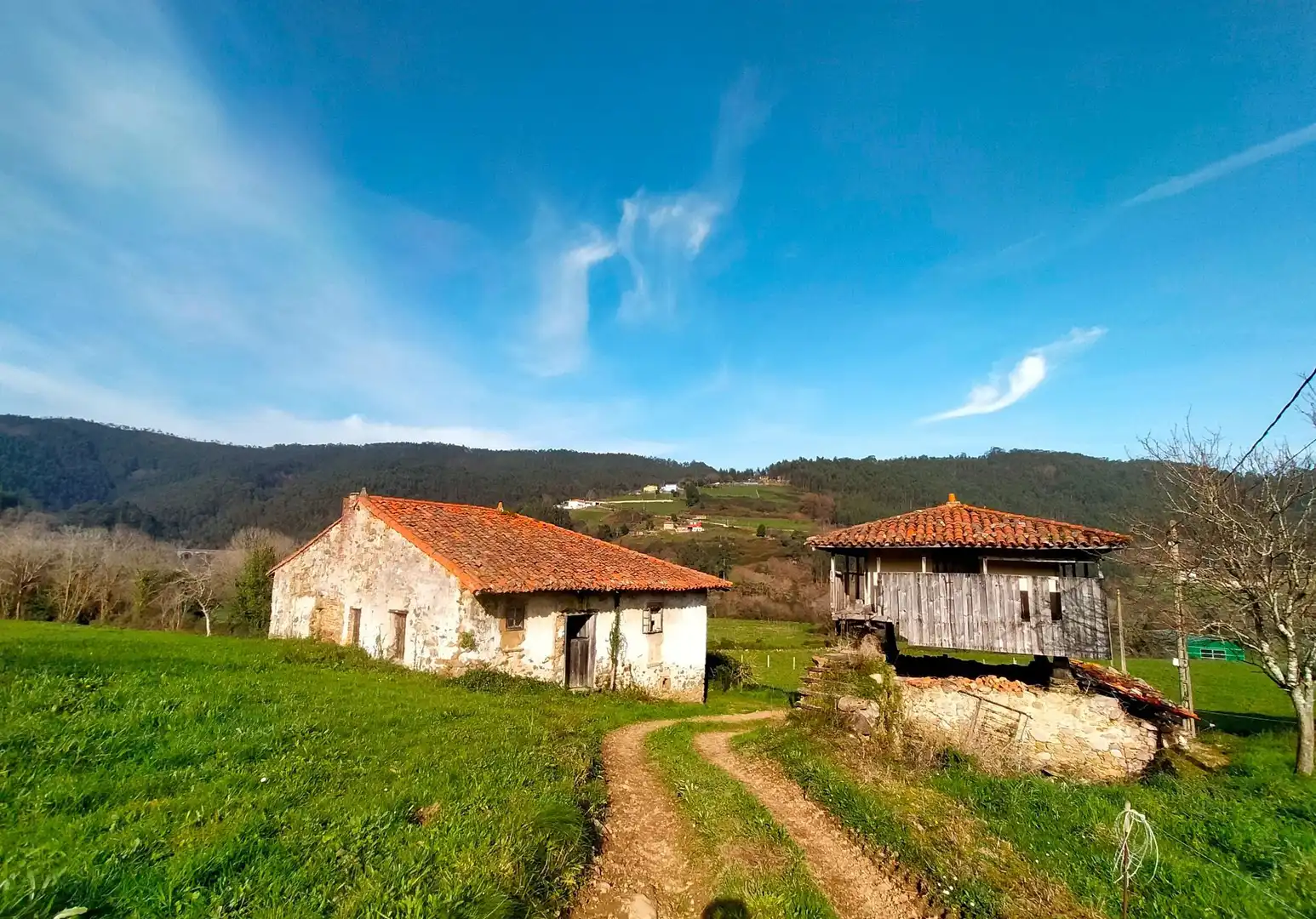 Vista exterior de Finca rústica en venta en Cudillero con Jardín privado