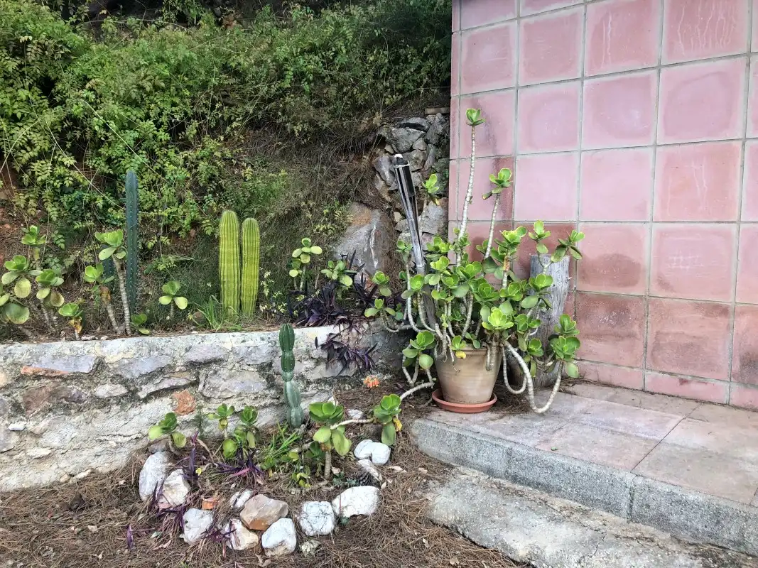 Jardí de Finca rústica en venda en Vilallonga / Villalonga
