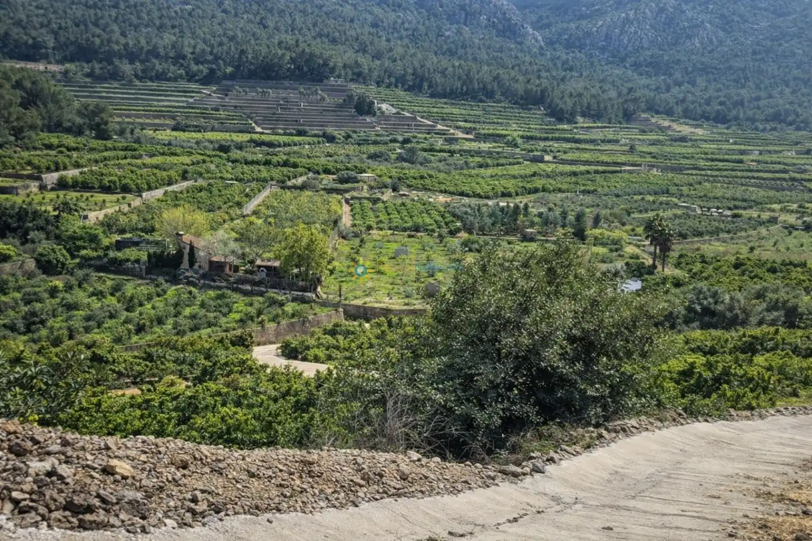 Vista exterior de Casa o xalet en venda en Alfauir amb Jardí privat, Terrassa i Forn
