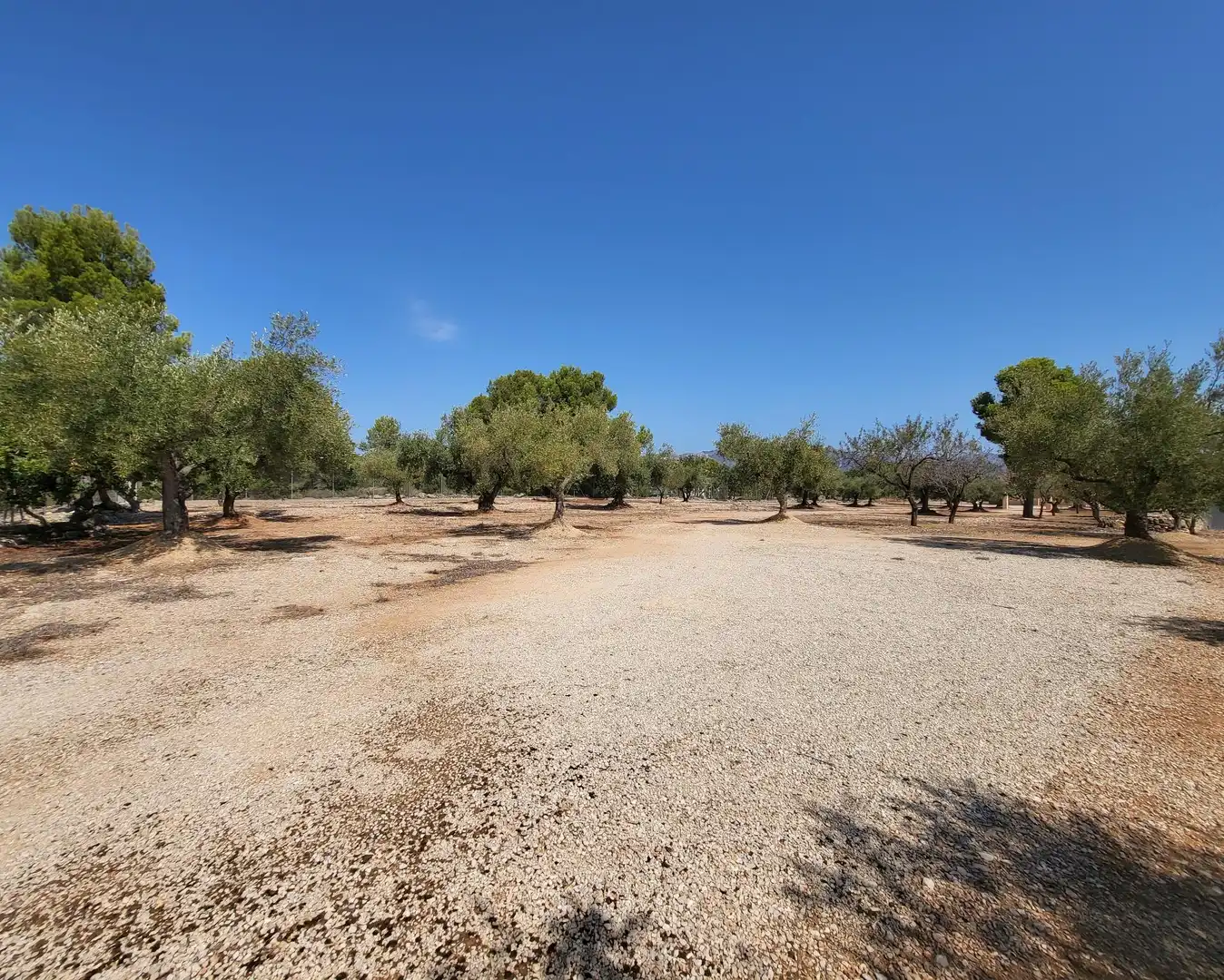 Landhaus mit Garten zum Verkauf in L'Ametlla de Mar pueblo, imagen 46