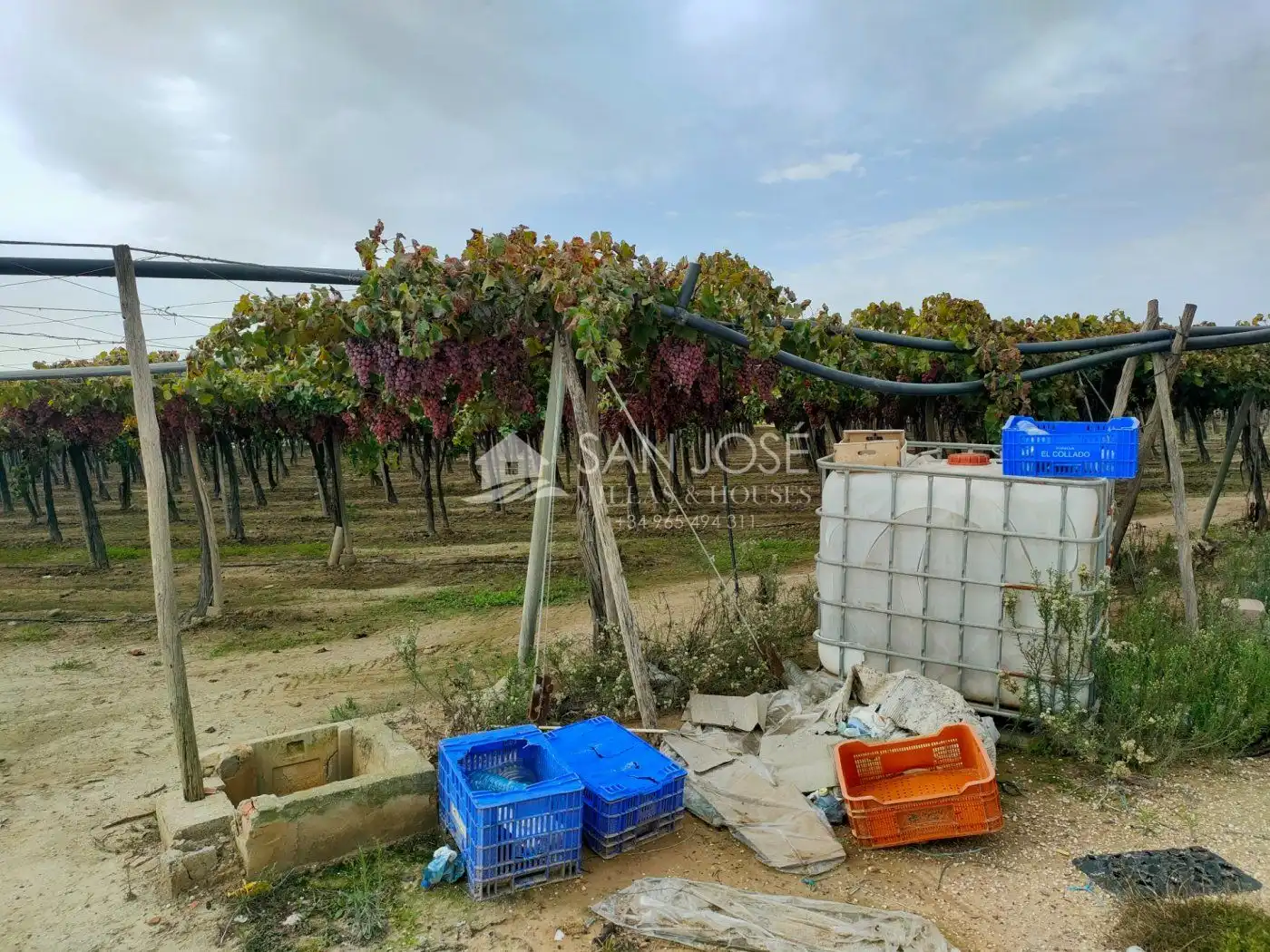 Casa o xalet en venda en Aspe