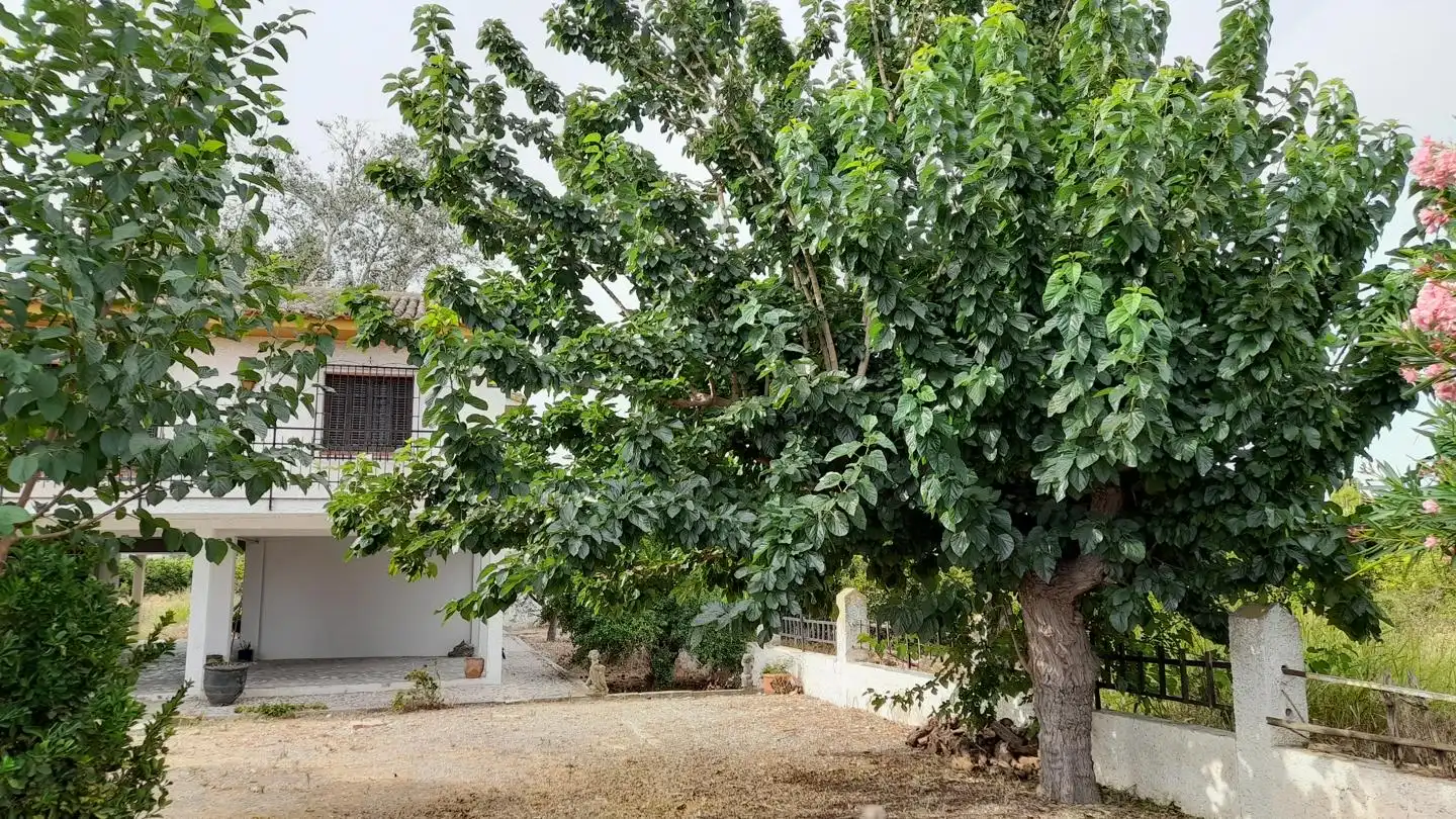 Haus oder Chalet zum Verkauf in Benejúzar mit Privatgarten, Terrasse und Schwimmbad