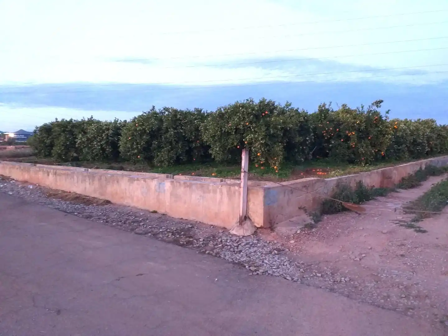 Land for sale in Quart de Poblet