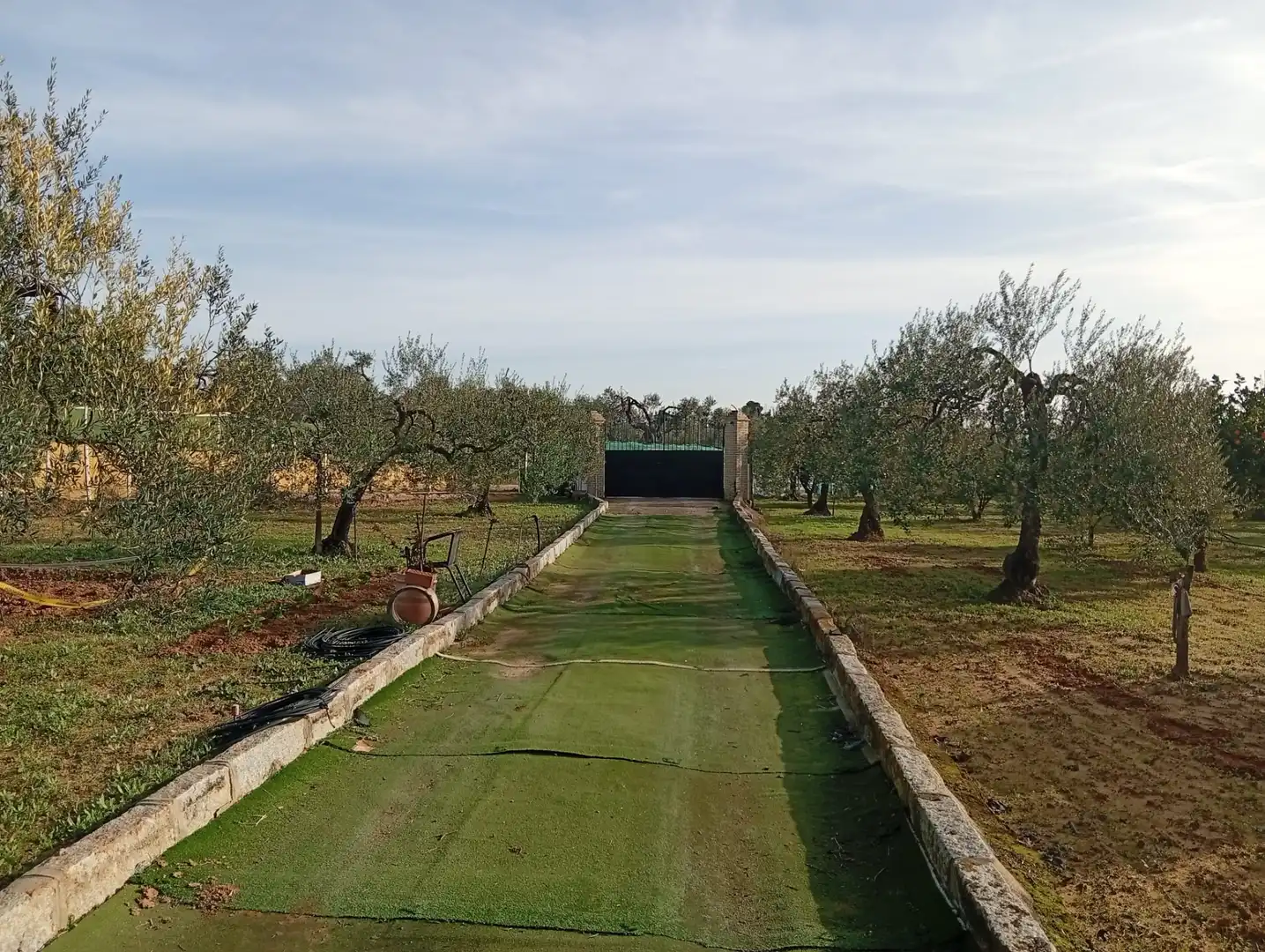 Terreni e lotti in vendita a Villanueva del Ariscal, imagen 2
