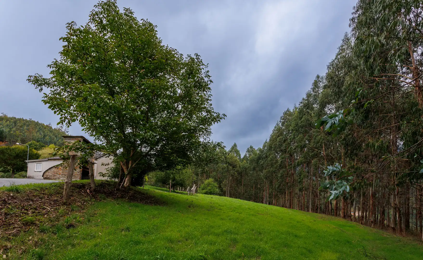 Maison rustique à vendre à A Pontenova, imagen 3