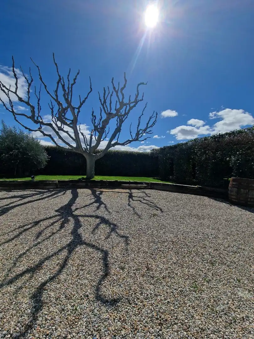 Garten von Country house zum Verkauf in Mollerussa mit Klimaanlage, Heizung und Privatgarten