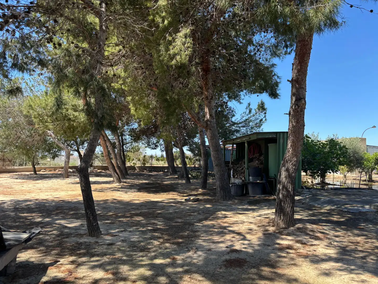 Casa o xalet en venda en Elche / Elx amb Aire condicionat, Calefacció i Jardí privat