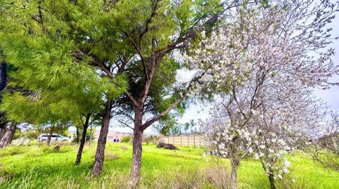 Photo 2 of Country homes for sale in Los Franceses – La Vega, Chiclana de la Frontera