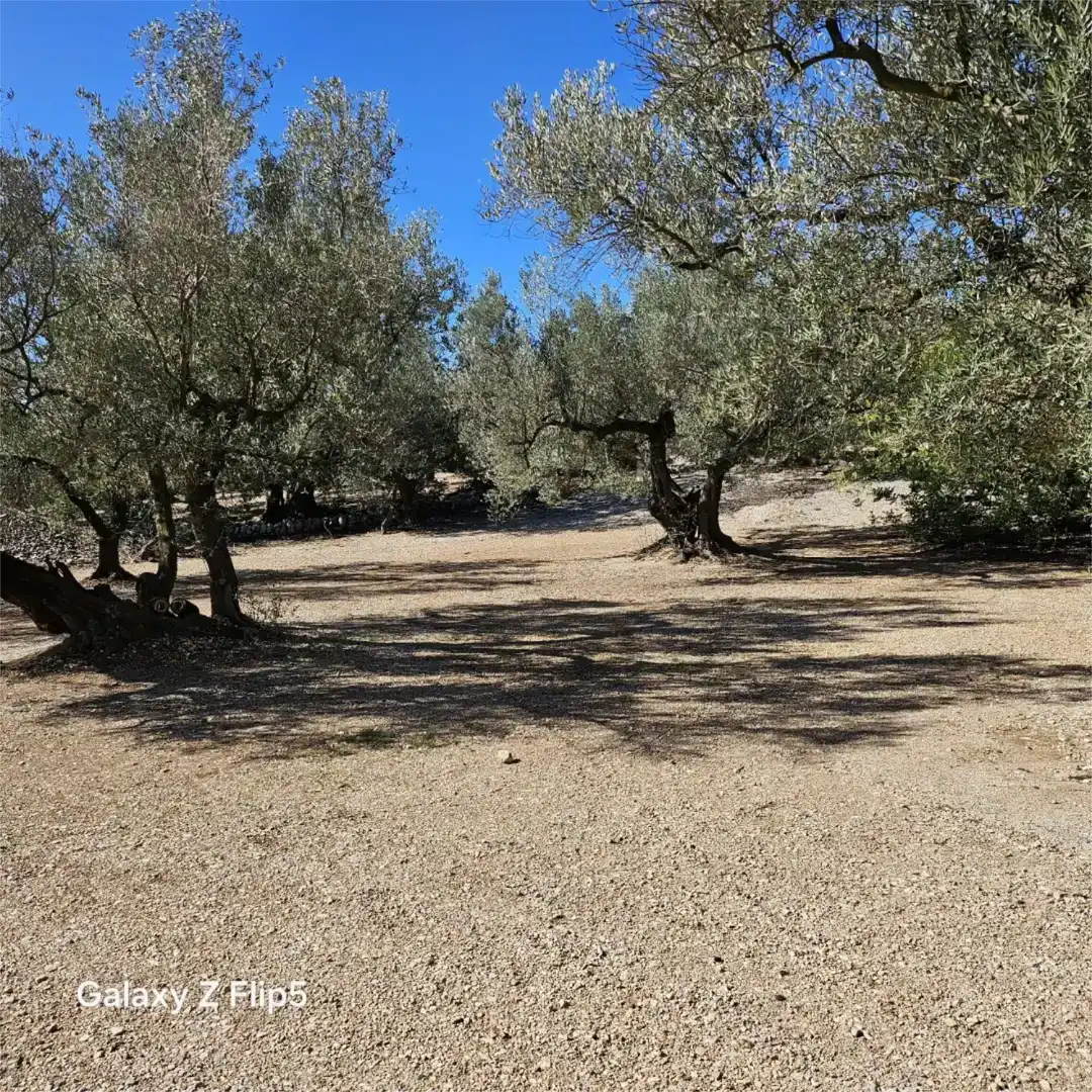 Grundstücke zum Verkauf in La Galera , Tarragona