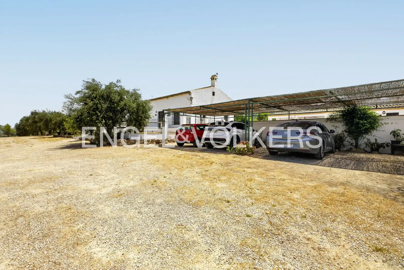 Vista exterior de Casa o chalet en venta en Osuna con Calefacción, Jardín privado y Piscina
