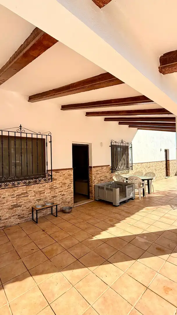 Terrace of Houses for rent in Albox