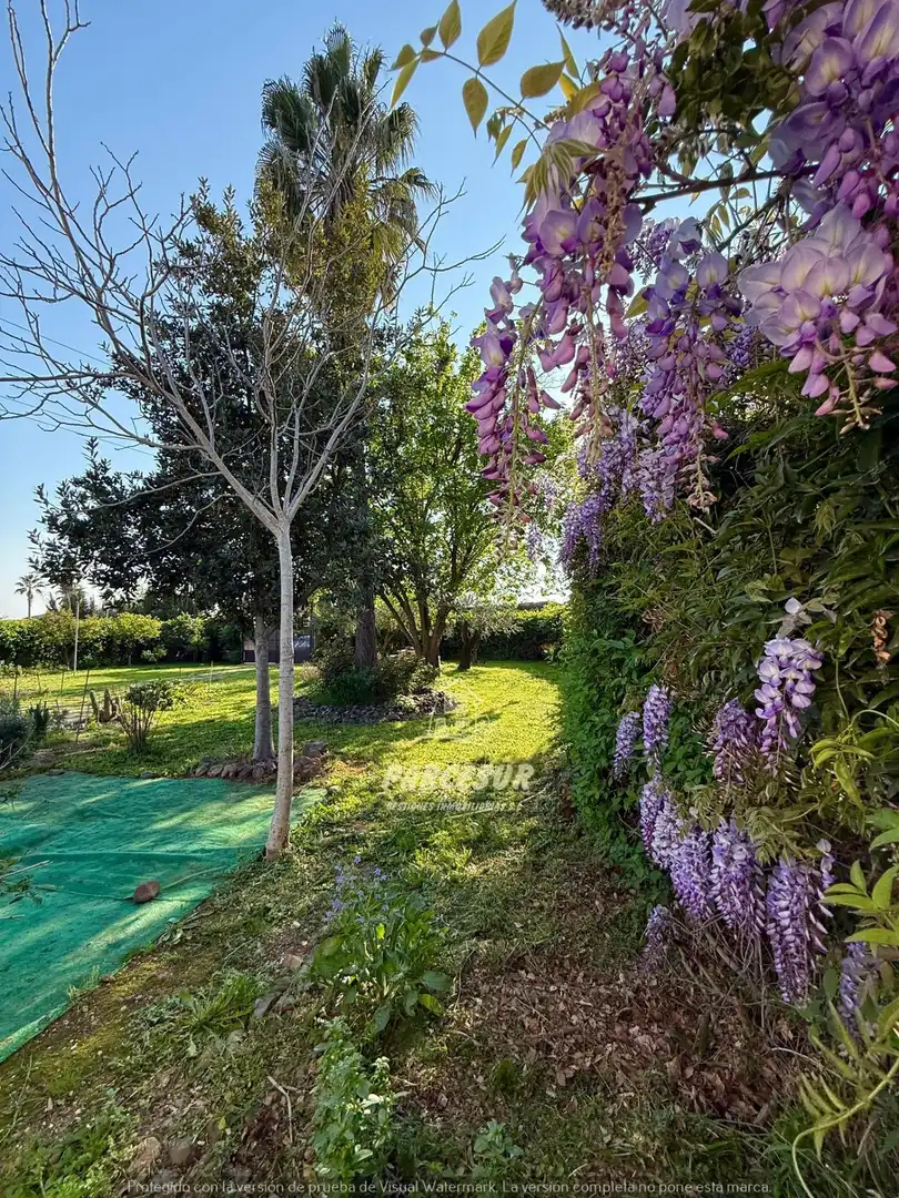 Garden of Houses for sale in Córdoba  with Private garden