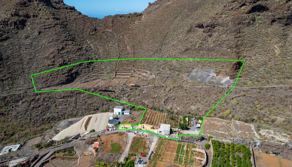 Foto 1 de Finca rústica en venda a Puerto, Tamaimo - Arguayo, Santa Cruz de Tenerife