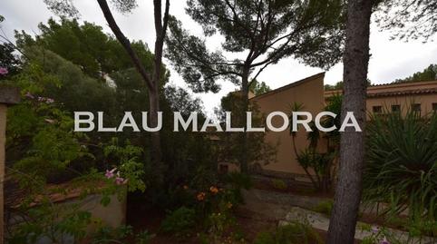 Photo 5 of Land for sale in Zona Portuària,  Palma de Mallorca