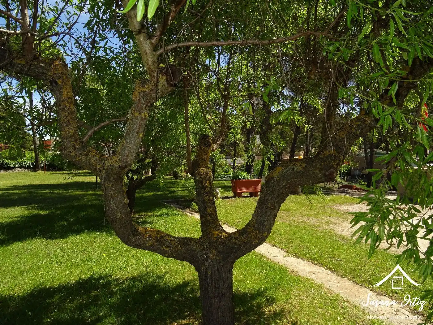 Jardín de Casa o chalet en venta en El Bruc con Aire acondicionado, Calefacción y Jardín privado