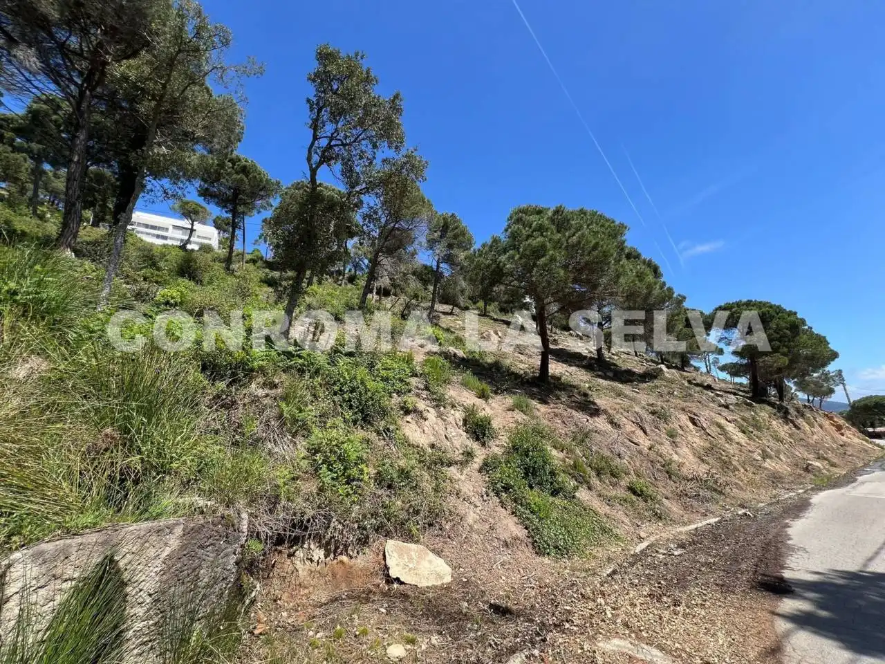 Terreno residencial en venta en Serra Brava, imagen 2