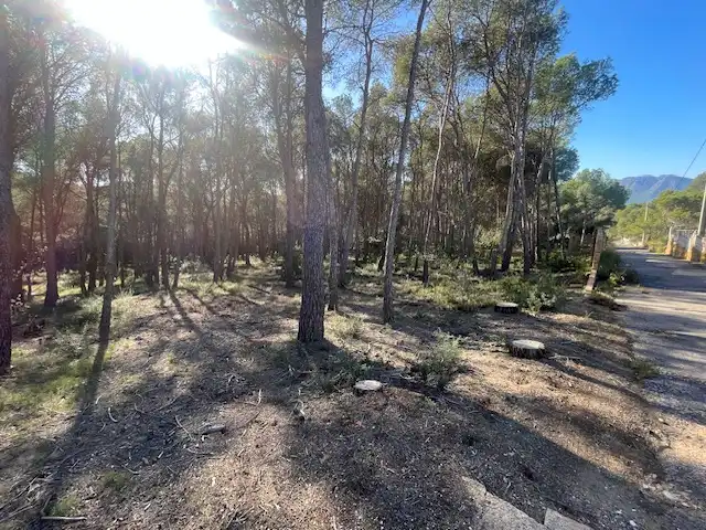 Rural land for sale in Sagunto ciudad, imagen 2