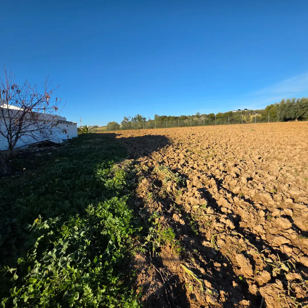 Terreni e lotti in vendita a Arcos de la Frontera, imagen 40