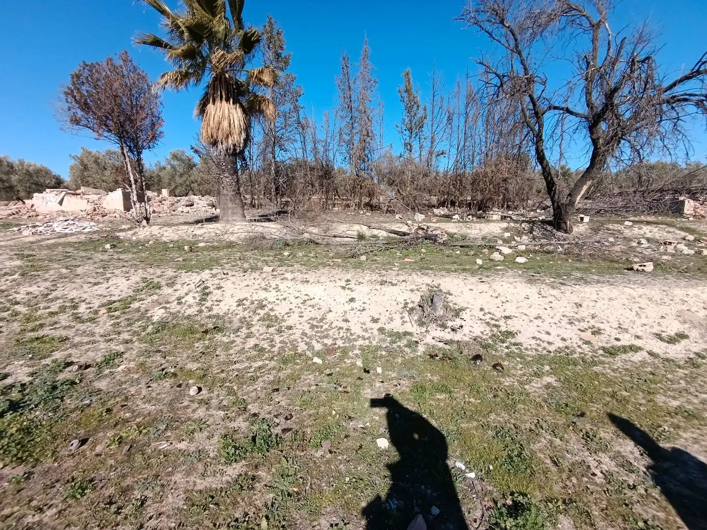 Terreni e lotti in vendita a San Gonzalo, imagen 6