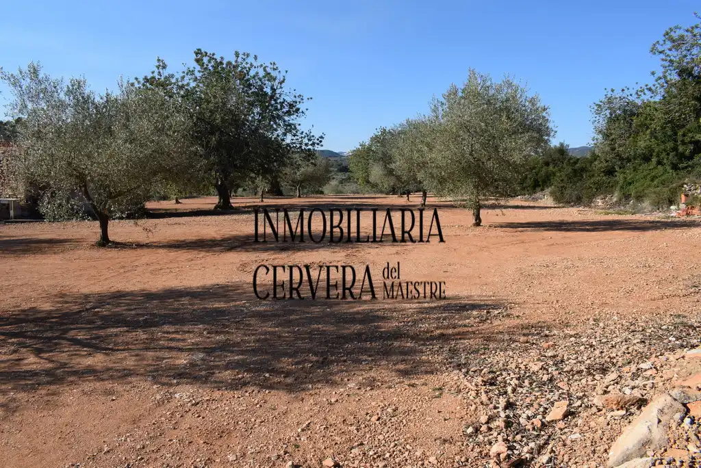 Finca rústica en venda en Cervera del Maestre amb Terrassa