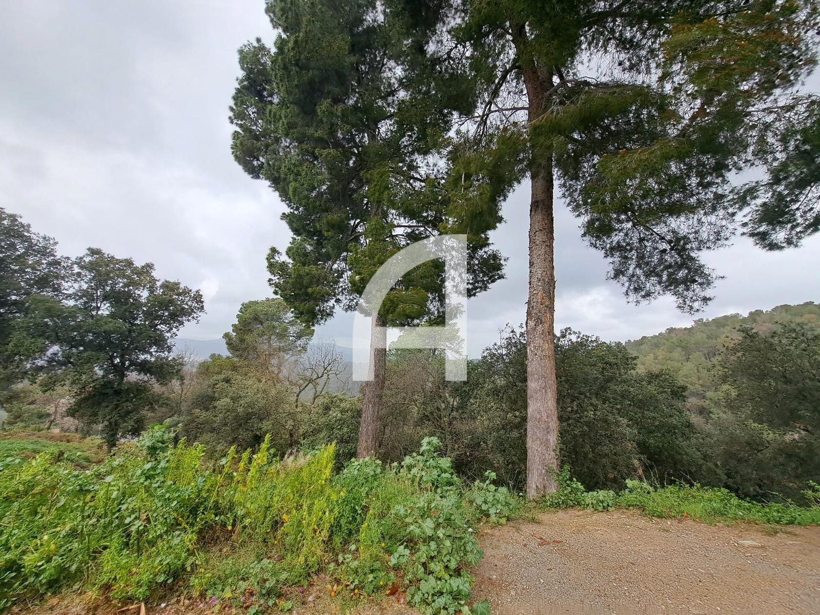 Grundstücke zum verkauf in Canigo, Molins de Rei