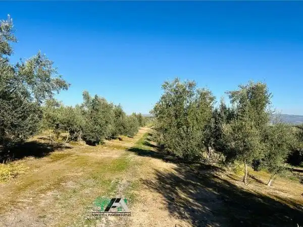 Terrenos y solares en venta en Úbeda, imagen 10