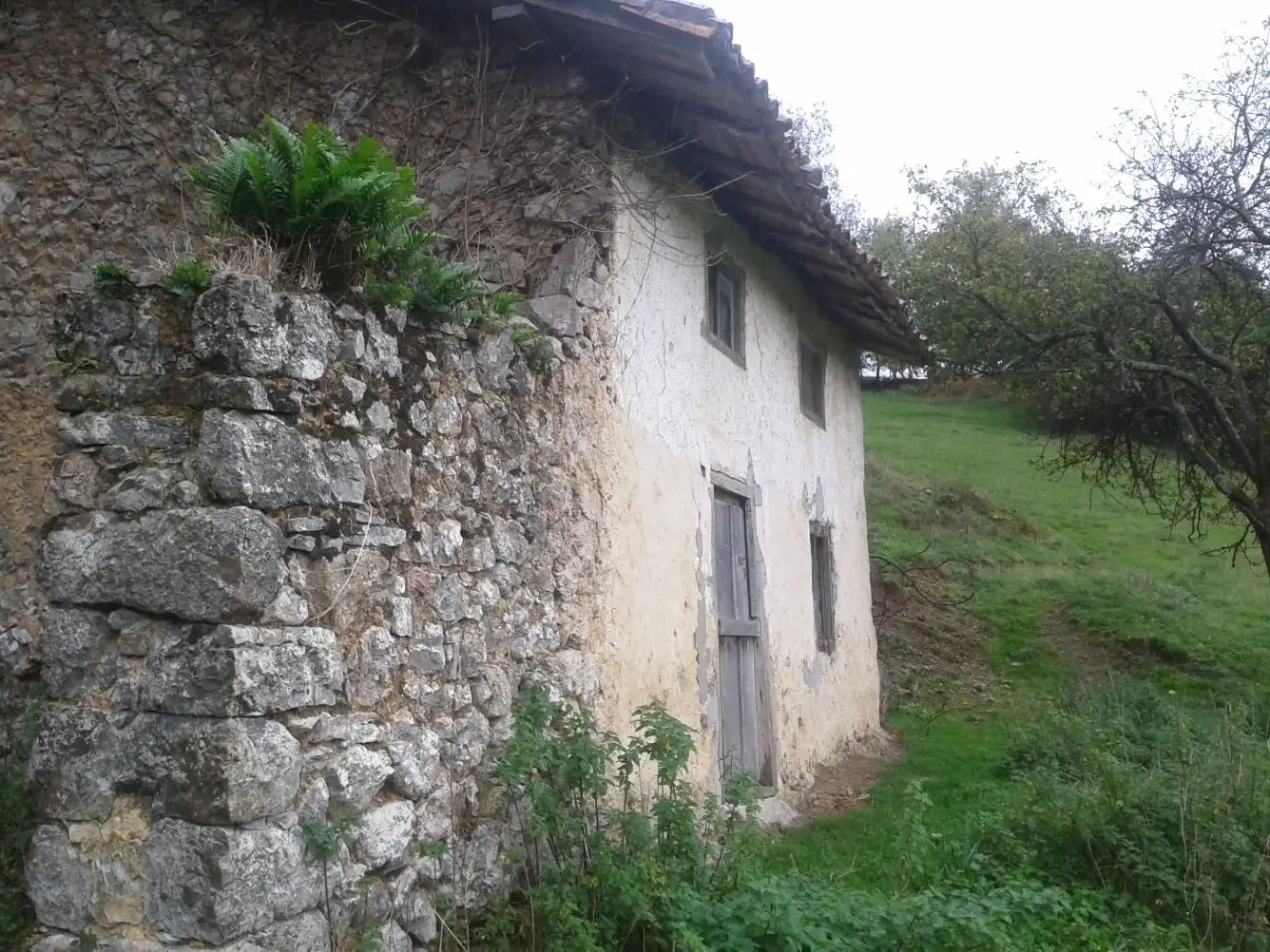 Terreno rústico en venta en Parres, imagen 3