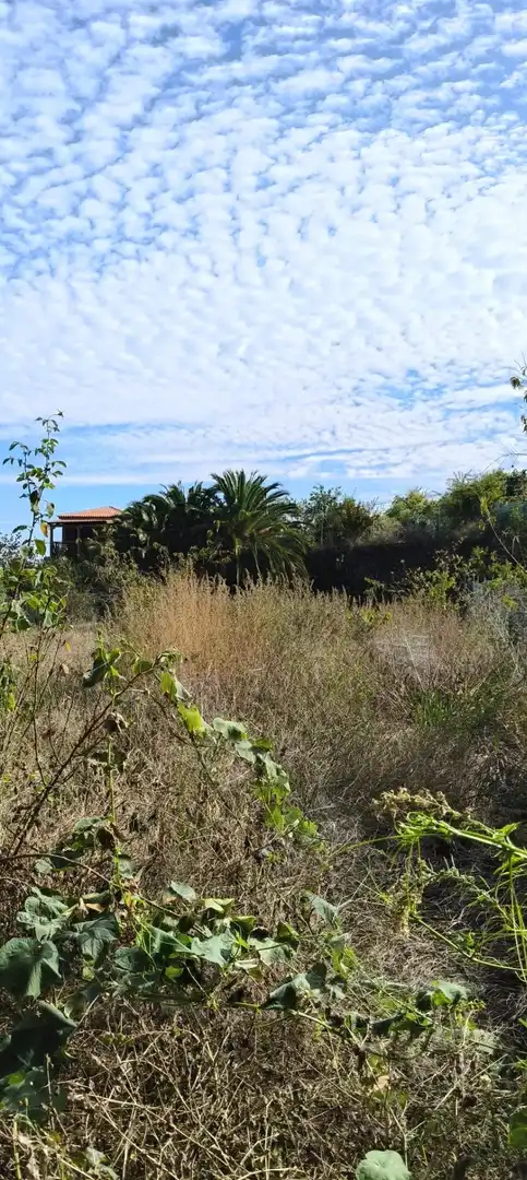 Finca rústica en venta en Camino REVENTON EL, La Vega - El Amparo - Cueva del Viento