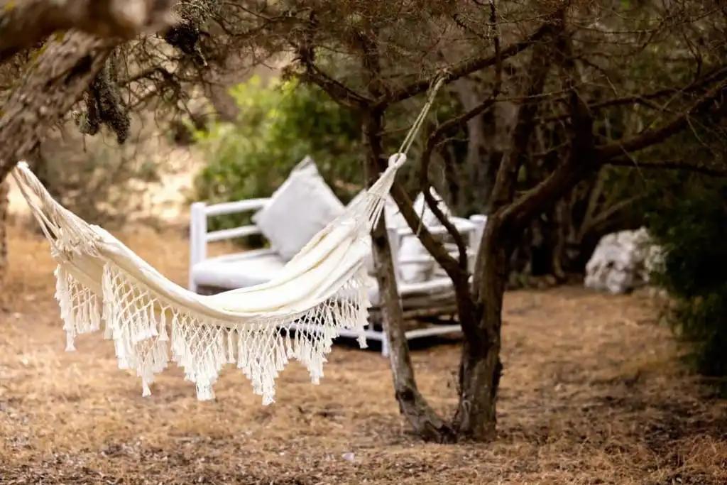 Jardín de Casa o chalet en venta en Formentera con Jardín privado, Terraza y Piscina