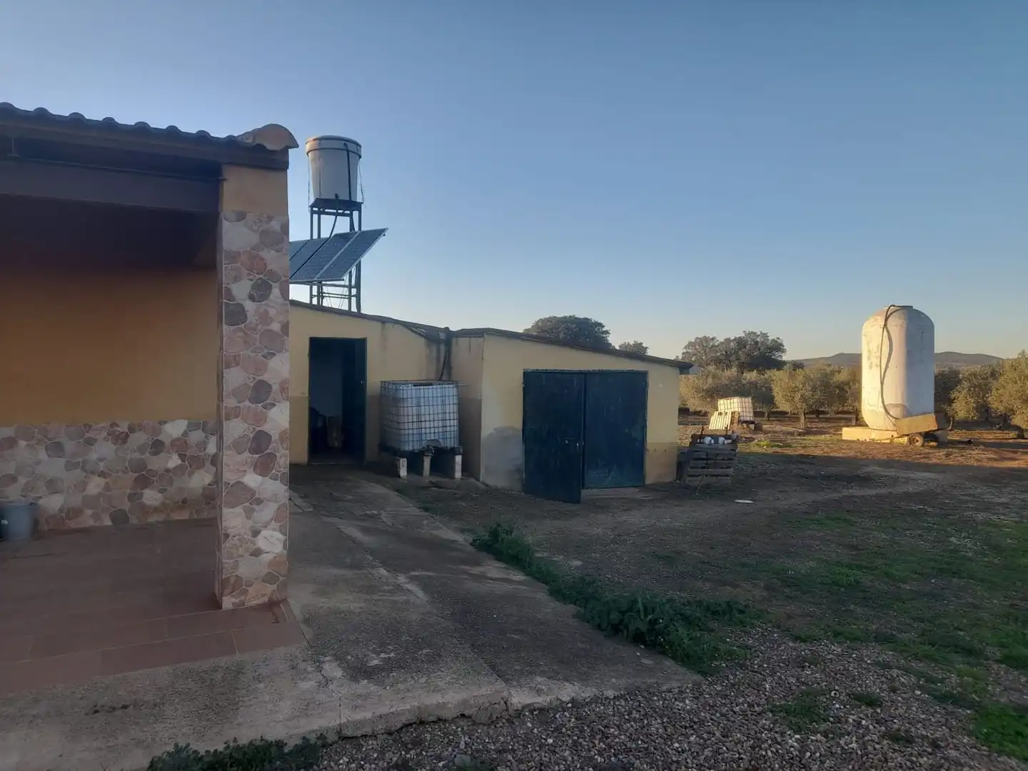 Vista exterior de Finca rústica en venta en Fuente Obejuna con Jardín privado